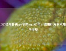 2025德州扑克app苹果app2025年，德州扑克的未来与挑战
