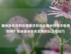 德州扑克官网在哪里找如何在德州扑克中取得胜利？揭秘德州扑克官网的玩法与技巧