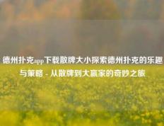 德州扑克app下载散牌大小探索德州扑克的乐趣与策略 - 从散牌到大赢家的奇妙之旅