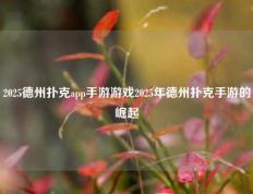 2025德州扑克app手游游戏2025年德州扑克手游的崛起