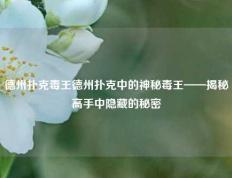 德州扑克毒王德州扑克中的神秘毒王——揭秘高手中隐藏的秘密