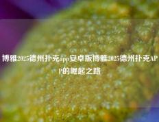 博雅2025德州扑克app安卓版博雅2025德州扑克APP的崛起之路