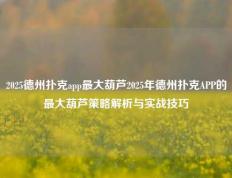 2025德州扑克app最大葫芦2025年德州扑克APP的最大葫芦策略解析与实战技巧