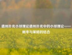 德州扑克小球理论德州扑克中的小球理论——概率与策略的结合