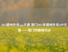 2025德州扑克app大赛 澳门2025年德州扑克APP大赛——澳门的巅峰对决