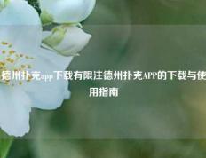 德州扑克app下载有限注德州扑克APP的下载与使用指南
