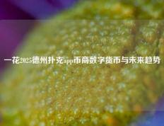 一花2025德州扑克app币商数字货币与未来趋势