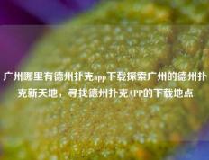 广州哪里有德州扑克app下载探索广州的德州扑克新天地，寻找德州扑克APP的下载地点