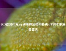 2025德州扑克app决策算法德州扑克APP的未来决策算法