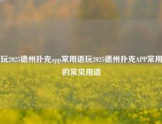 玩2025德州扑克app常用语玩2025德州扑克APP常用的常见用语