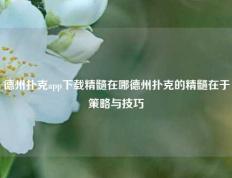 德州扑克app下载精髓在哪德州扑克的精髓在于策略与技巧