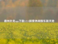 德州扑克app下载1/2/4探索休闲娱乐新天地