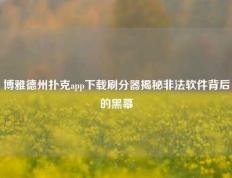 博雅德州扑克app下载刷分器揭秘非法软件背后的黑幕
