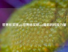 世界杯买球app世界杯买球app背后的科技力量