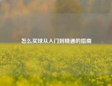 怎么买球从入门到精通的指南