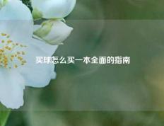 买球怎么买一本全面的指南