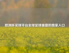 欧洲杯买球平台全球足球盛宴的独家入口