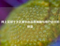 网上买球十大正规平台品质保障与用户信任的桥梁