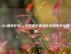2025德州扑克app河牌图片德州扑克的未来与机遇