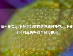 德州扑克app下载平台有猫腻吗德州扑克app下载平台的真伪鉴别与风险提示