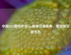 中国2025德州扑克app视频引领未来，重塑娱乐新生态