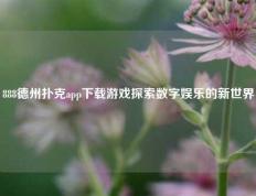888德州扑克app下载游戏探索数字娱乐的新世界