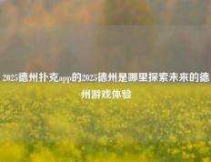 2025德州扑克app的2025德州是哪里探索未来的德州游戏体验