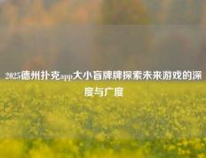 2025德州扑克app大小盲牌牌探索未来游戏的深度与广度