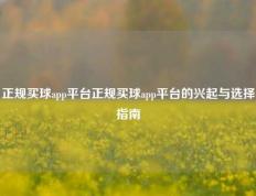 正规买球app平台正规买球app平台的兴起与选择指南