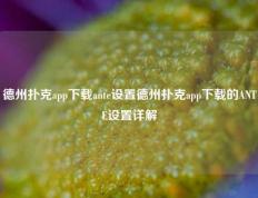 德州扑克app下载ante设置德州扑克app下载的ANTE设置详解