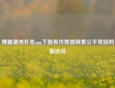 博雅德州扑克app下载有作弊器探索公平竞技的新途径