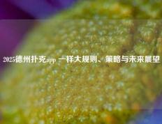 2025德州扑克app 一样大规则、策略与未来展望