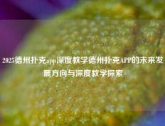2025德州扑克app深度教学德州扑克APP的未来发展方向与深度教学探索