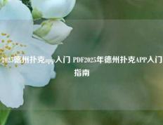 2025德州扑克app入门 PDF2025年德州扑克APP入门指南