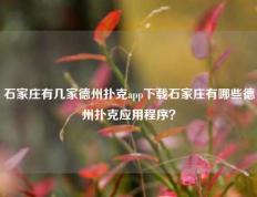 石家庄有几家德州扑克app下载石家庄有哪些德州扑克应用程序？