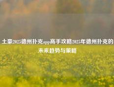 土豪2025德州扑克app高手攻略2025年德州扑克的未来趋势与策略