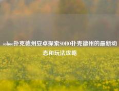 sohoo扑克德州安卓探索SOHO扑克德州的最新动态和玩法攻略