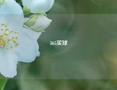 365买球