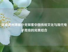 新浪德州博雅扑克探索中国传统文化与现代电子竞技的完美结合