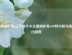 德州扑克app下载大小王德州扑克APP的兴起与流行趋势
