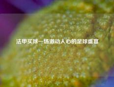 法甲买球一场激动人心的足球盛宴