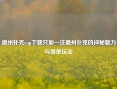 德州扑克app下载只加一注德州扑克的神秘魅力与简单玩法