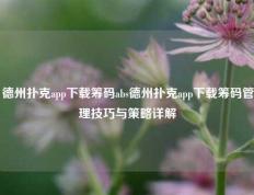 德州扑克app下载筹码abs德州扑克app下载筹码管理技巧与策略详解