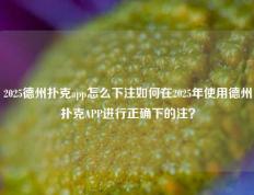 2025德州扑克app怎么下注如何在2025年使用德州扑克APP进行正确下的注？