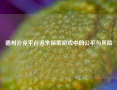 德州扑克平台返水探索游戏中的公平与风险