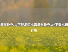 德州扑克app下载术语小盲德州扑克APP下载术语详解