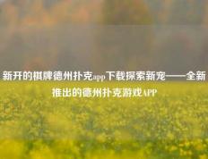 新开的棋牌德州扑克app下载探索新宠——全新推出的德州扑克游戏APP
