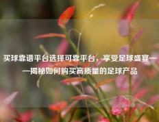 买球靠谱平台选择可靠平台，享受足球盛宴——揭秘如何购买高质量的足球产品