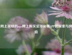 网上买球的app网上购买足球彩票APP的探索与风险