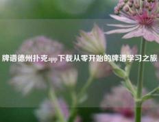 牌谱德州扑克app下载从零开始的牌谱学习之旅